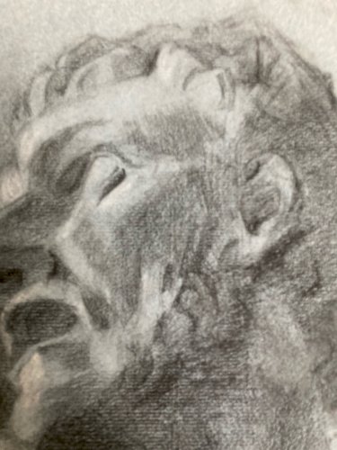 dessin fusain XIXe Pied tete buste Homme Sculpture a identifier Ancien