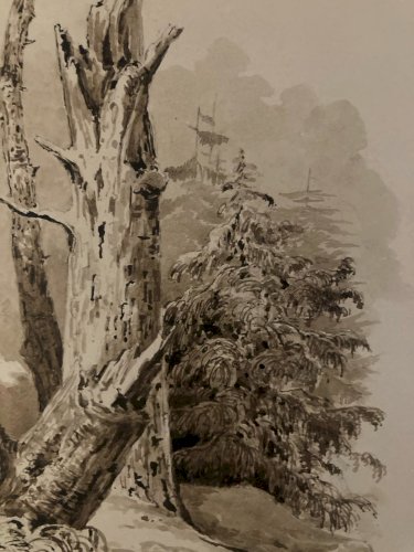 Dessin Lavis Encre Sur Papier XIXe 1850 Drawing Peinture Arbre Tronc Nature Old