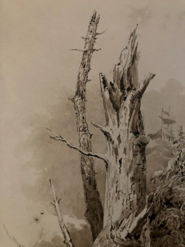Dessin Lavis Encre Sur Papier XIXe 1850 Drawing Peinture Arbre Tronc Nature Old
