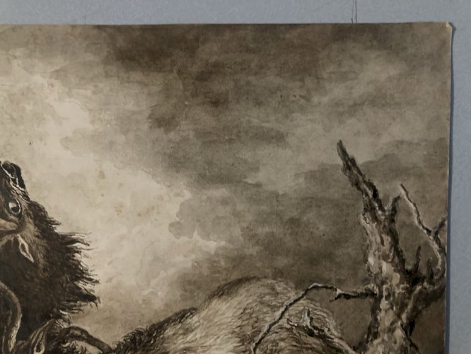 Dessin Lavis Encre Sur Papier XIXe 1850 Drawing Peinture Cerf Chasse Combat Old