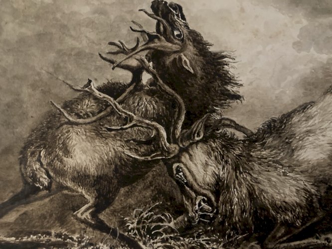 Dessin Lavis Encre Sur Papier XIXe 1850 Drawing Peinture Cerf Chasse Combat Old