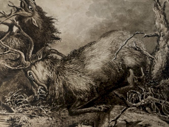 Dessin Lavis Encre Sur Papier XIXe 1850 Drawing Peinture Cerf Chasse Combat Old