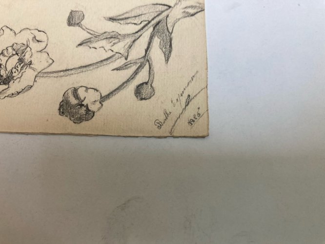 Dessin  Mine De Plomb Visage Nez Œil Bouche XIXe portrait 1880 Fleur Fleurs Art