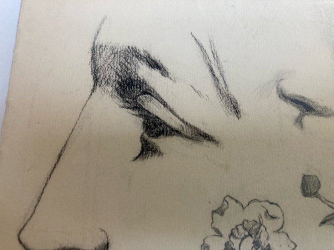 Dessin  Mine De Plomb Visage Nez Œil Bouche XIXe portrait 1880 Fleur Fleurs Art