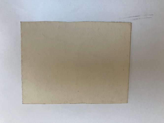 Dessin  Mine De Plomb Visage Nez Œil Bouche XIXe portrait 1880 Fleur Fleurs Art