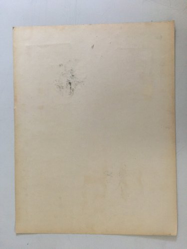 Dessin  Minéraux Pierre  Encre Et Mine De Plomb 1960 À Identifier