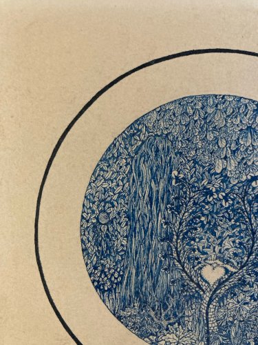 Dessin Miniature 1970 Encre Lavis Claude Camille Varieras À Identifier Plante