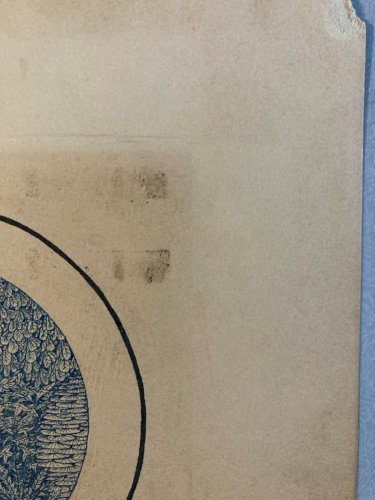 Dessin Miniature 1970 Encre Lavis Claude Camille Varieras À Identifier Plante