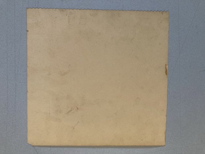 Dessin Miniature 1970 Encre Lavis Claude Camille Varieras À Identifier Plante