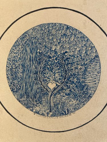 Dessin Miniature 1970 Encre Lavis Claude Camille Varieras À Identifier Plante