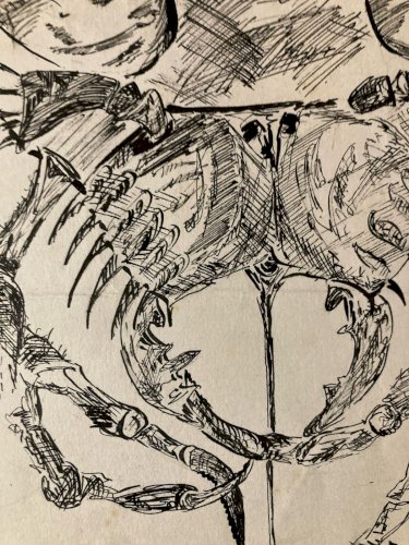 Dessin Mort Squelette 1990 Curiosité Art Encre Guerre Homme Art Stylo