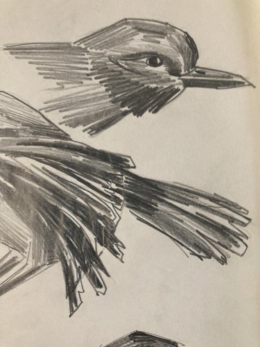 Dessin Oiseau 1950 Mine De Plomb Cubiste Cubisme Moineaux  A Identifier Art