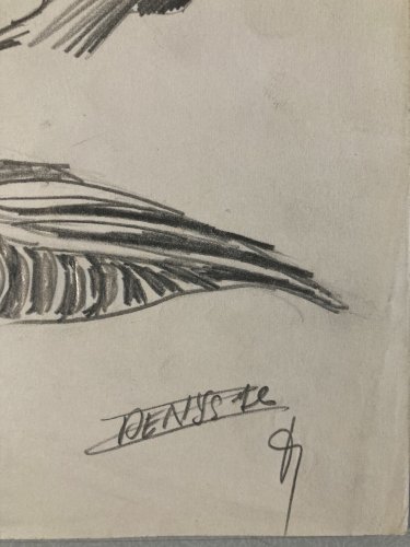 Dessin Oiseau 1950 Mine De Plomb Cubiste Cubisme Moineaux  A Identifier Art