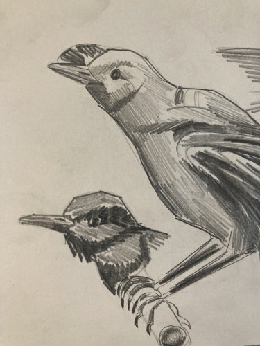 Dessin Oiseau 1950 Mine De Plomb Cubiste Cubisme Moineaux  A Identifier Art
