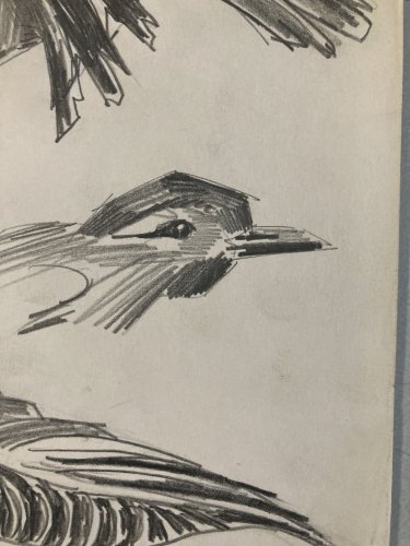 Dessin Oiseau 1950 Mine De Plomb Cubiste Cubisme Moineaux  A Identifier Art