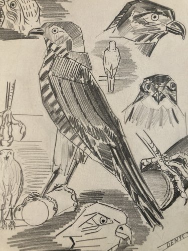 Dessin Oiseau Mine De Plomb Cubiste Cubisme Aigle Buse 1950 A Identifier