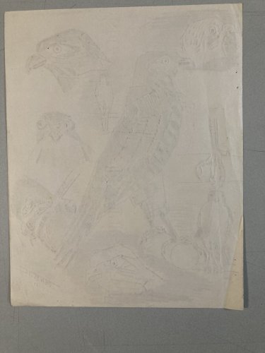 Dessin Oiseau Mine De Plomb Cubiste Cubisme Aigle Buse 1950 A Identifier