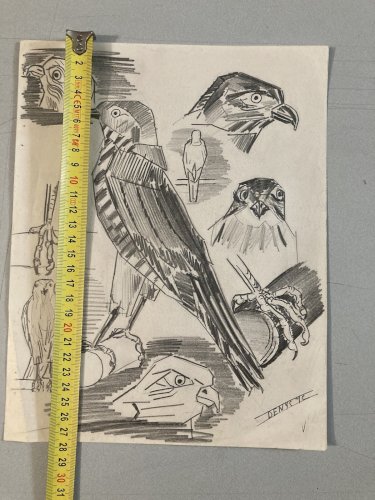 Dessin Oiseau Mine De Plomb Cubiste Cubisme Aigle Buse 1950 A Identifier