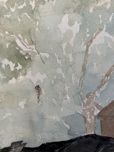 Dessin Peinture Papier 1960 Gouache Agnès Bradley Chat Serre Jardin Véranda