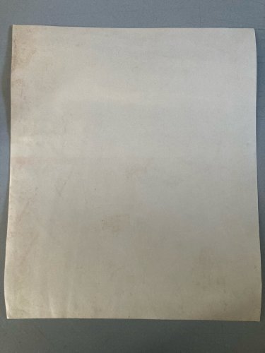 Dessin Peinture Papier 1960 Gouache Agnès Bradley Chat Serre Jardin Véranda