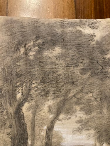 Dessin Pierre Noire XIXe mine De Plomb Arbre Foret Ancien 1850 Paysage Art