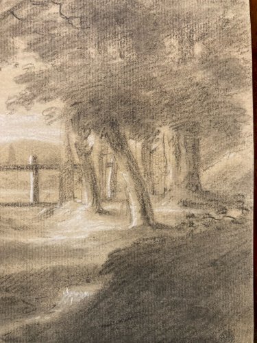 Dessin Pierre Noire XIXe mine De Plomb Arbre Foret Ancien 1850 Paysage Art