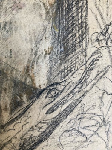 dessin Saint Bertrand Du Comminges Crocodile crayon XIXe art Curiosité