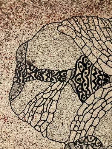 Dessin Squelette Insecte 1960 Curiosité Art Encre Surréaliste Ancien