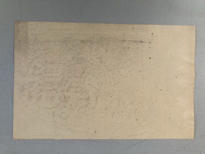 Dessin XIXe 1820 Art Encre Lavis Étude Ancien Arbre Sapin Feuille