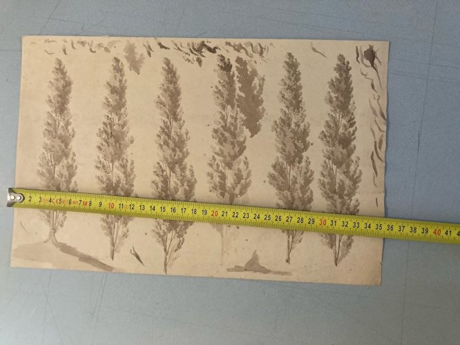 Dessin XIXe 1820 Art Encre Lavis Étude Ancien Arbre Sapin Feuille