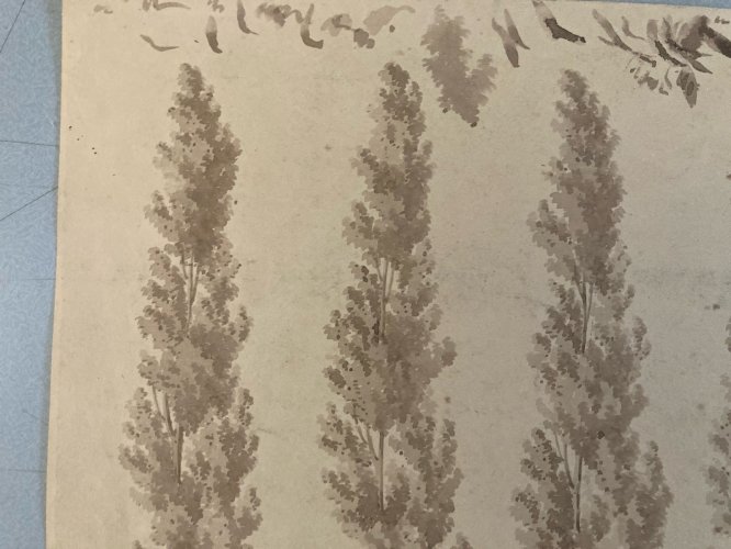 Dessin XIXe 1820 Art Encre Lavis Étude Ancien Arbre Sapin Feuille