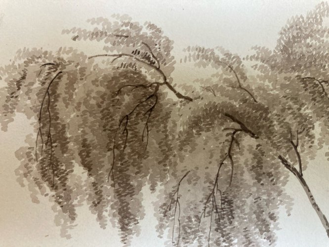 Dessin XIXe 1820 Encre Lavis Étude Ancien Arbre Branche Art Feuille Botanique