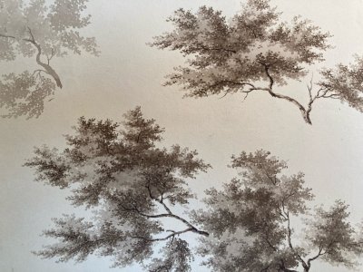 Drawing 19th century 1828 Ink Wash Study Old Tree Branch Art Leaf