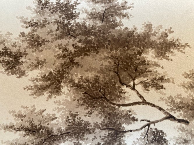 Dessin XIXe 1828 Encre Lavis Étude Ancien Arbre Branche Art Feuille