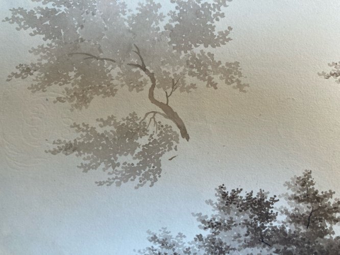 Dessin XIXe 1828 Encre Lavis Étude Ancien Arbre Branche Art Feuille