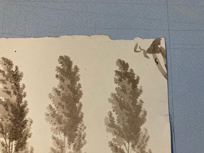 Dessin XIXe 1828 Encre Lavis Étude Ancien Arbre Branche Art Feuille