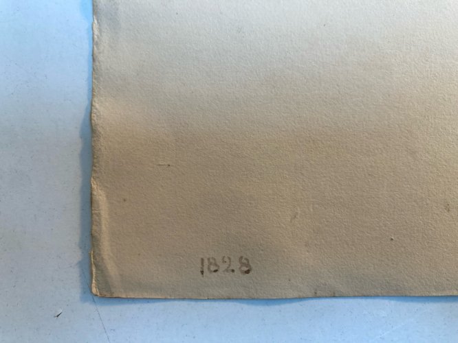 Dessin XIXe 1828 Encre Lavis Étude Ancien Arbre Branche Art Feuille