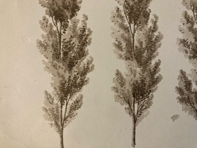 Dessin XIXe 1828 Encre Lavis Étude Ancien Arbre Branche Art Feuille