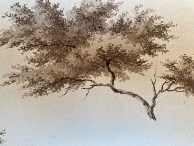 Dessin XIXe 1828 Encre Lavis Étude Ancien Arbre Branche Art Feuille