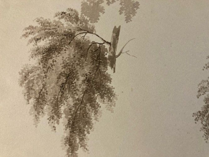Dessin XIXe 1828 Encre Lavis Étude Ancien Arbre Branche Feuille Art