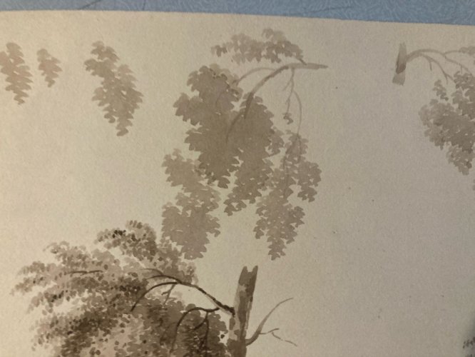 Dessin XIXe 1828 Encre Lavis Étude Ancien Arbre Branche Feuille Art