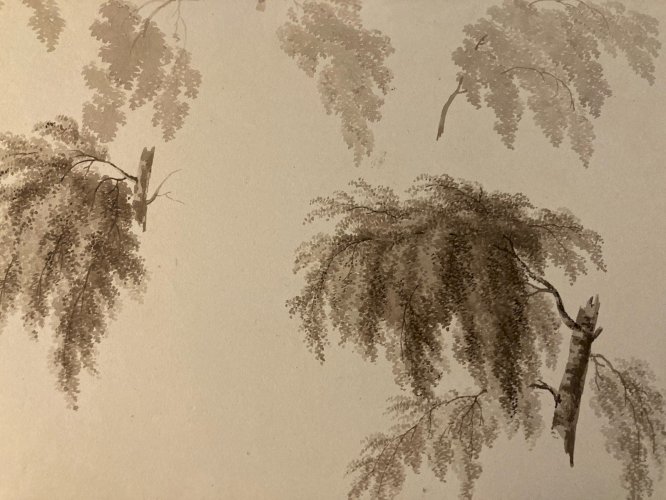 Dessin XIXe 1828 Encre Lavis Étude Ancien Arbre Branche Feuille Art