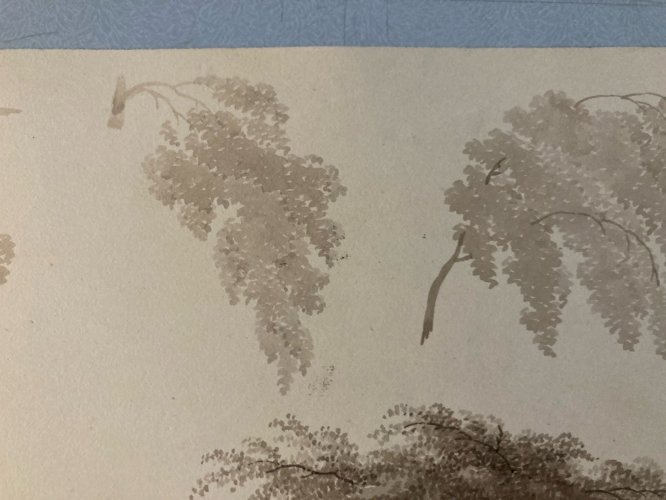 Dessin XIXe 1828 Encre Lavis Étude Ancien Arbre Branche Feuille Art