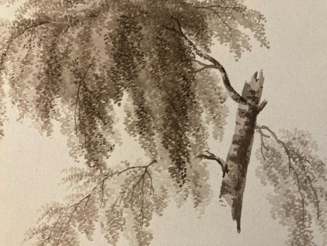 Dessin XIXe 1828 Encre Lavis Étude Ancien Arbre Branche Feuille Art