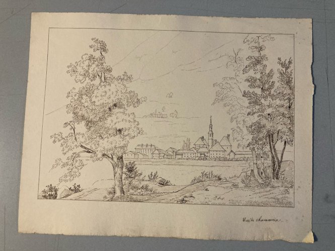 Dessin XIXe 1830 Encre A Identifier P Chamonix Ancien Arbre Mont Blanc