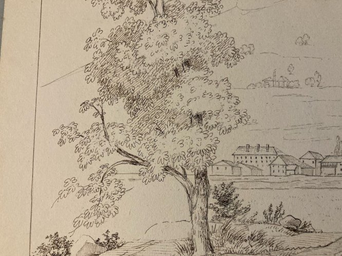 Dessin XIXe 1830 Encre A Identifier P Chamonix Ancien Arbre Mont Blanc