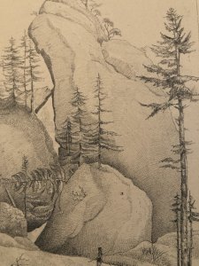 Drawing XIX 1830 Rock Pencil Swiss ? Tree Forest Ancient Alps Art