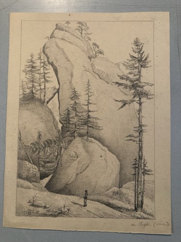 Dessin XIXe 1830 Rocher Crayon Suisse ? Arbre Foret Ancien Alpes Art