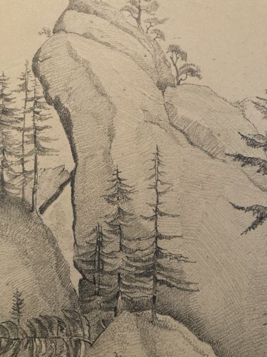 Dessin XIXe 1830 Rocher Crayon Suisse ? Arbre Foret Ancien Alpes Art