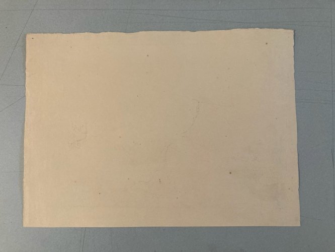 Dessin XIXe 1830 Ruines d’Unspunnen Château Suisse Foret Histoire Art Ancien